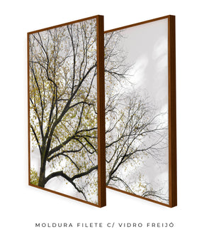 Quadro Decorativo Galhos Secos -Dupla