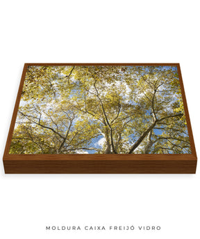 Quadro Decorativo Galhos e Árvores - Horizontal