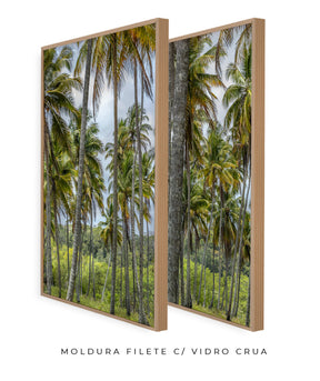 Quadro Decorativo Coqueiros Sépia -Dupla