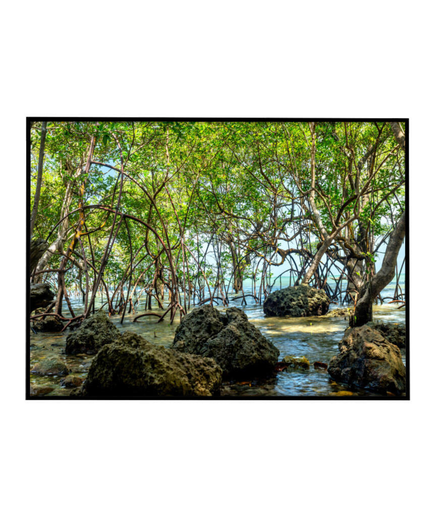 Quadro Decorativo Árvores e Galhos - Pedras e árvores