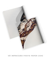 Quadro Decorativo Abstrato e Curvas - Tons Marrom e Branco -Dupla