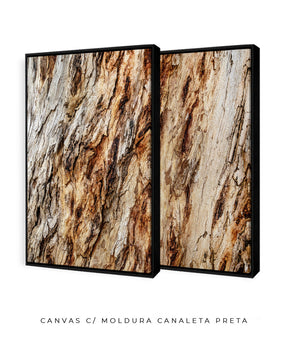 Quadro Decorativo Texturas - Madeira - Dupla