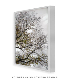 Quadro Decorativo Árvores e Galhos - Folhas secas Vertical