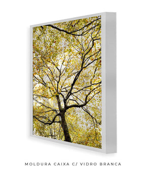 Quadro Decorativo Árvores e Galhos - Folhas verdes Vertical