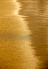 Quadro Decorativo Abstrato e Curvas - Tom Dourado - Horizontal