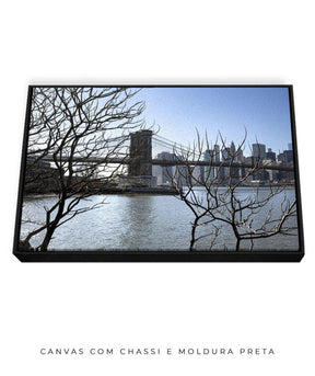 Quadro Decorativo Lago de Nova York