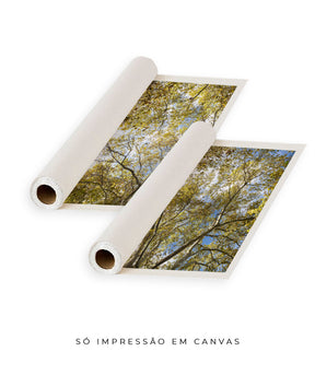Quadro Decorativo Galhos e Árvores - Dupla