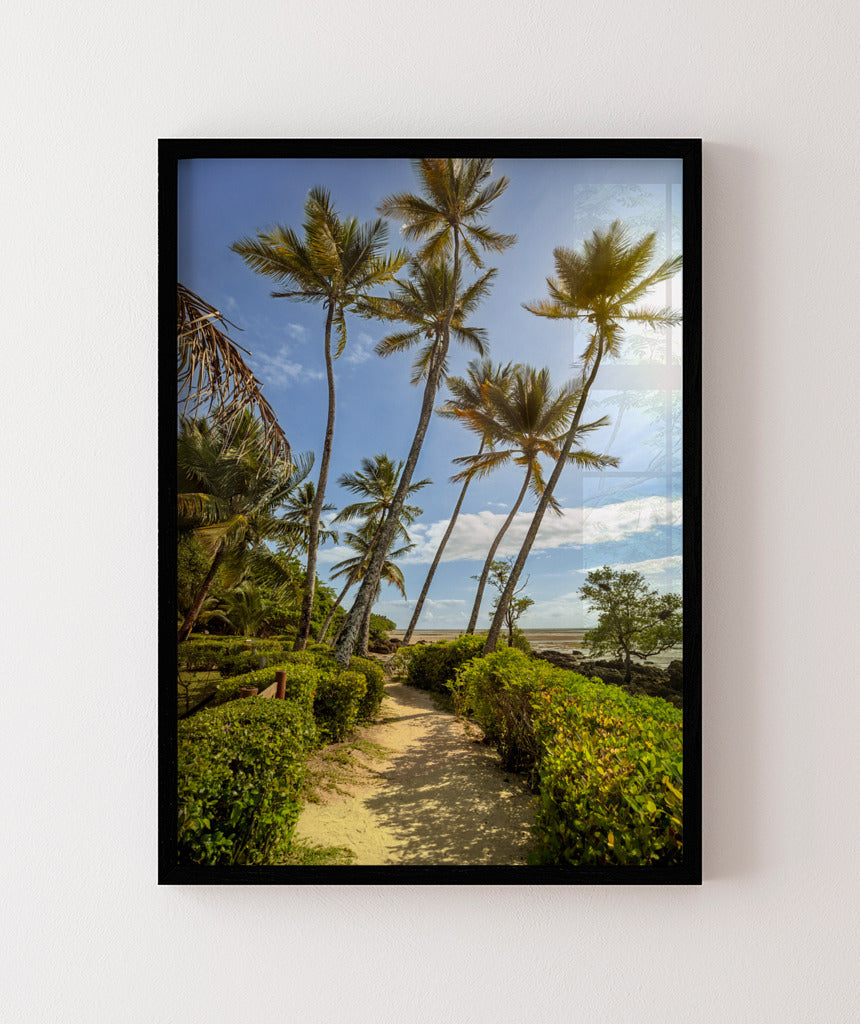 Quadro Decorativo Portais - Coqueiros