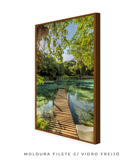 Quadro Decorativo  Chapada Diamantina - Ponte para Paraíso-Vertical