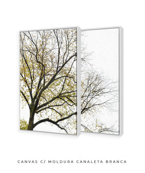 Quadro Decorativo Galhos Secos -Dupla