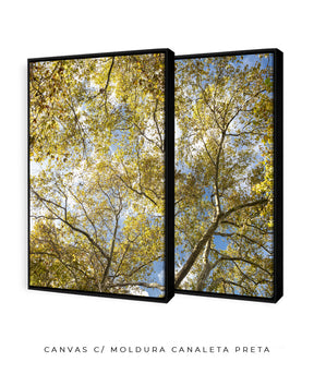 Quadro Decorativo Galhos e Árvores - Dupla