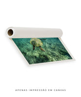 Quadro Decorativo Noronha - Tartaruga no Fundo do Mar