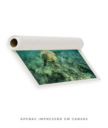 Quadro Decorativo Noronha - Tartaruga no Fundo do Mar