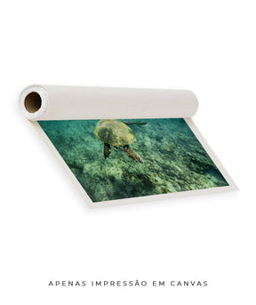 Quadro Decorativo Noronha - Tartaruga no Fundo do Mar