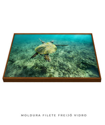 Quadro Decorativo Noronha - Tartaruga no Fundo do Mar