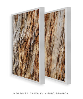 Quadro Decorativo Texturas - Madeira - Dupla