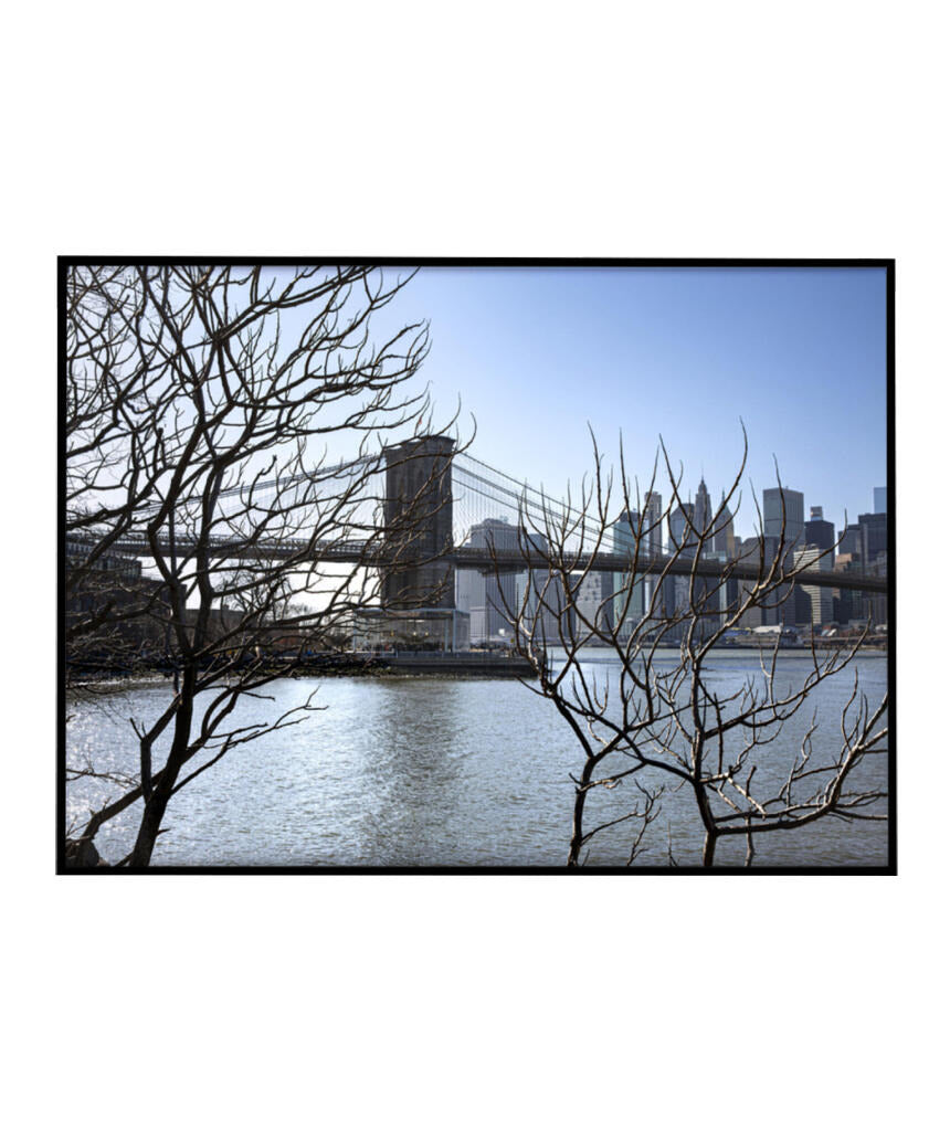Quadro Decorativo Lago de Nova York