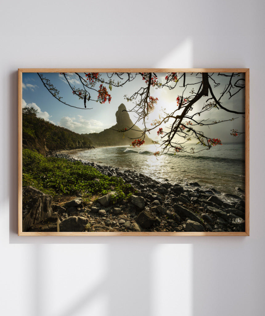 Quadro Decorativo Pôr do Sol e Galhos Secos - Horizontal