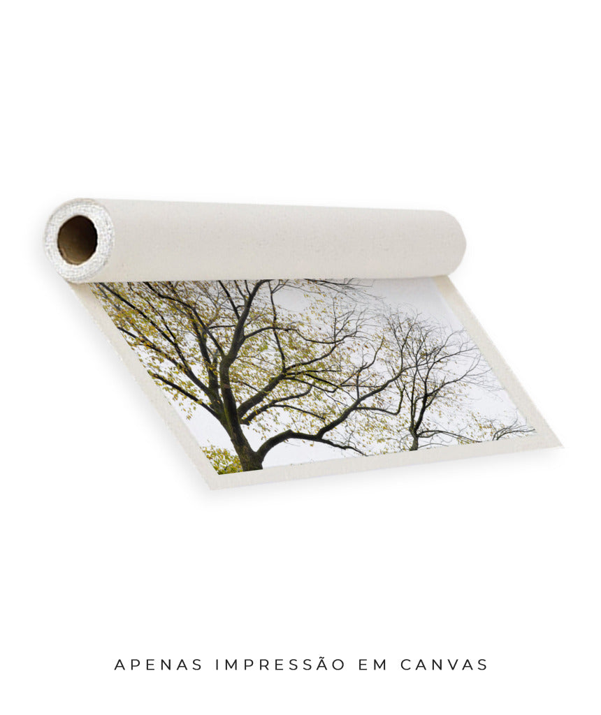 Quadro Decorativo Galhos Secos - Horizontal