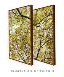 Quadro Decorativo Árvore com Galhos Verdes-Dupla