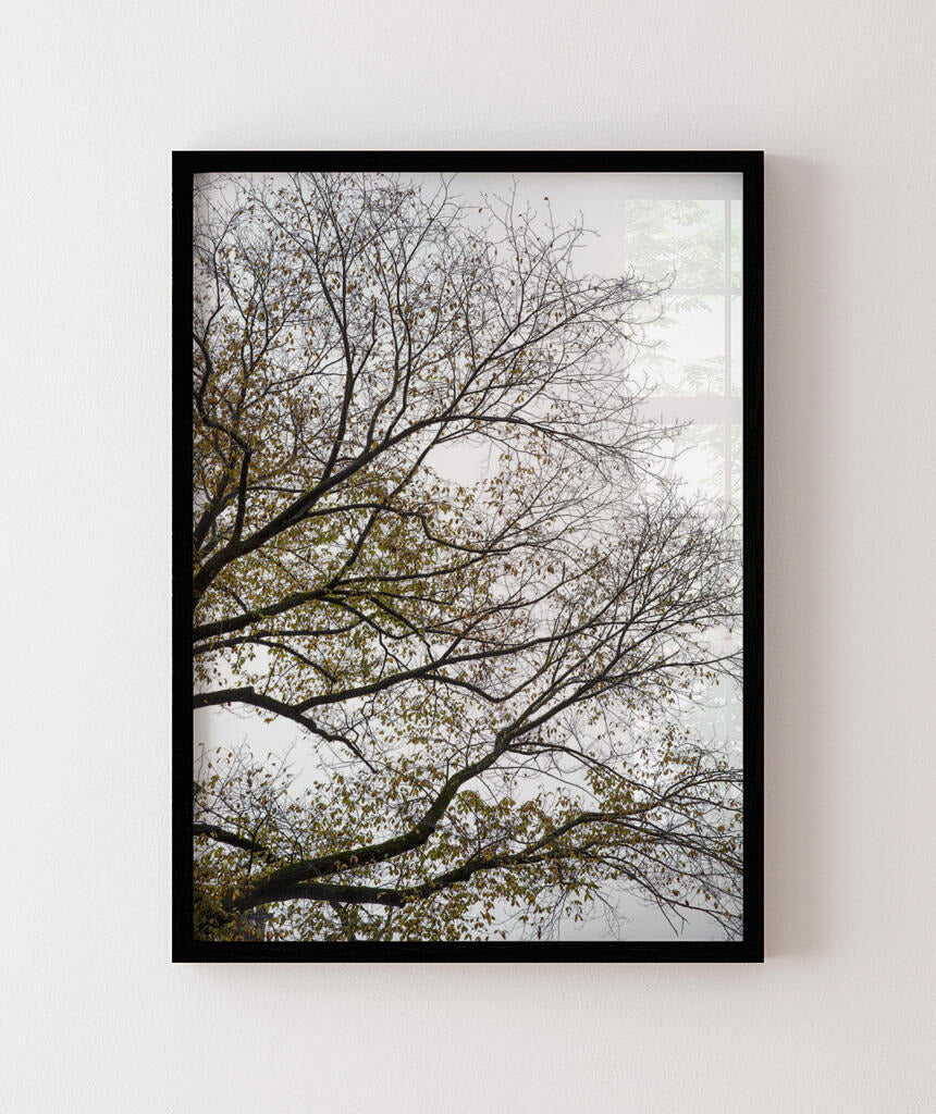 Quadro Decorativo Árvores e Galhos - Folhas secas Vertical