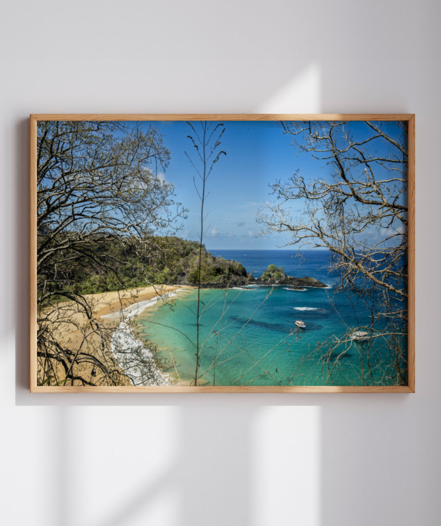 Quadro Decorativo Noronha - Praia, Mar e Galhos Secos - Horizontal