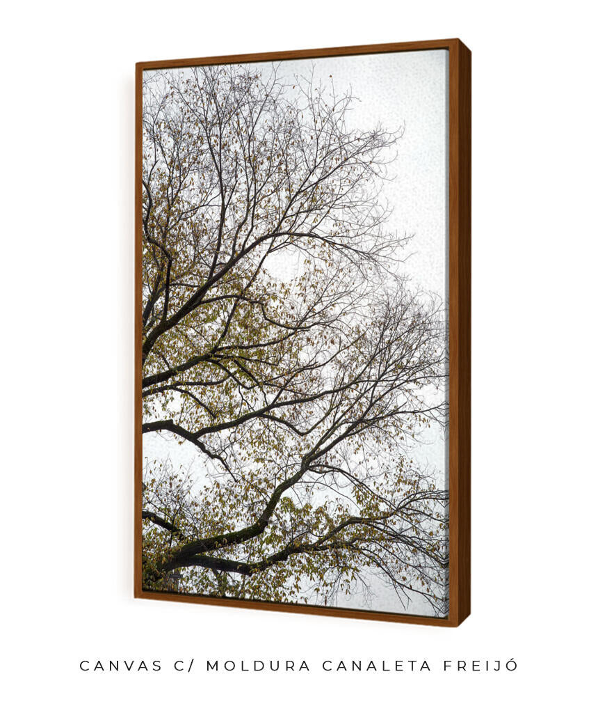 Quadro Decorativo Árvores e Galhos - Folhas secas Vertical