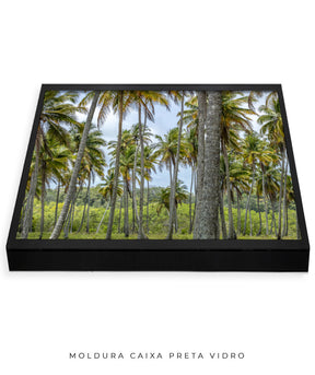 Quadro Decorativo Coqueiros Sépia - Horizontal