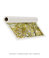 Quadro Decorativo Árvore com Galhos Verdes - Horizontal