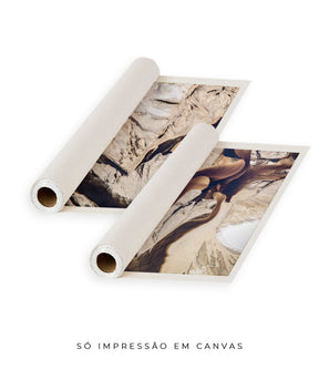 Quadro Decorativo Abstrato e Curvas - Tons Marrom e Bege -Dupla