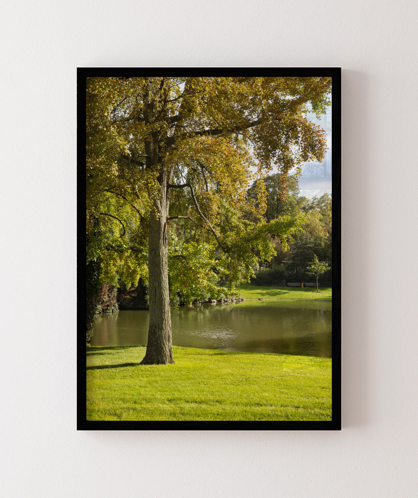 Quadro Decorativo Portais Natureza