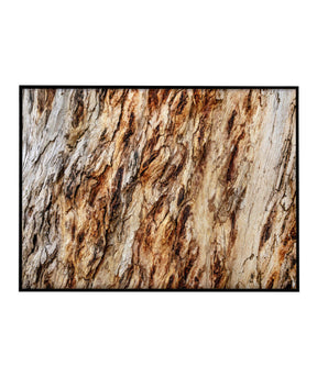 Quadro Decorativo Texturas - Madeira