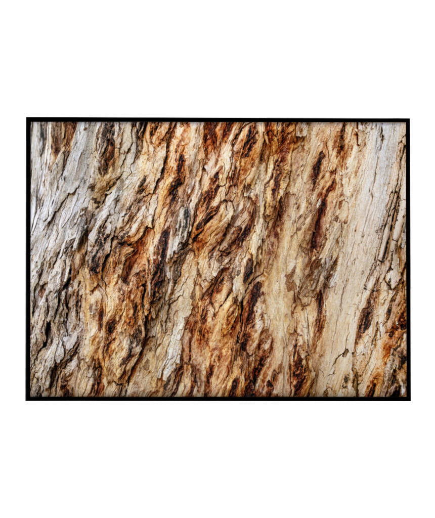 Quadro Decorativo Texturas - Madeira