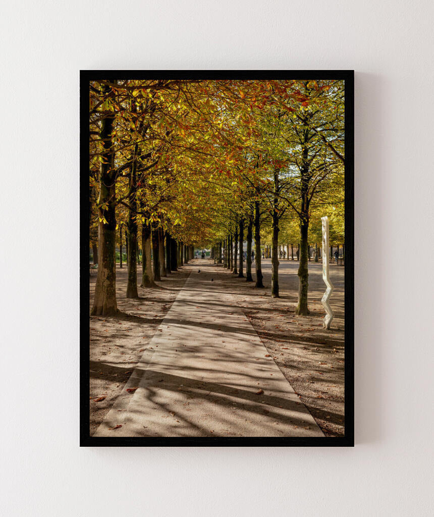 Quadro Decorativo Árvores e Galhos - Espaço para caminhada