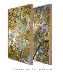 Quadro Decorativo Galhos e Árvores - Dupla