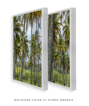Quadro Decorativo Coqueiros Sépia -Dupla