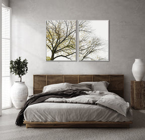Quadro Decorativo Galhos Secos -Dupla