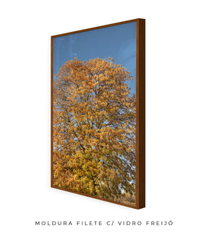 Quadro Decorativo Árvore Amarela