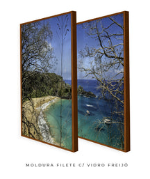 Quadro Decorativo Praia, Mar e Galhos Secos -Dupla
