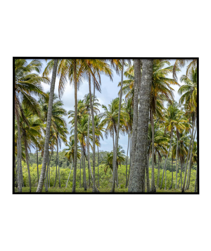 Quadro Decorativo Coqueiros Sépia - Horizontal
