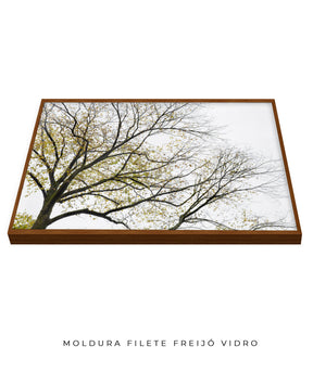 Quadro Decorativo Galhos Secos - Horizontal