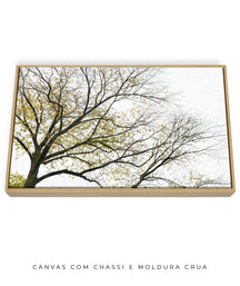 Quadro Decorativo Galhos Secos - Horizontal