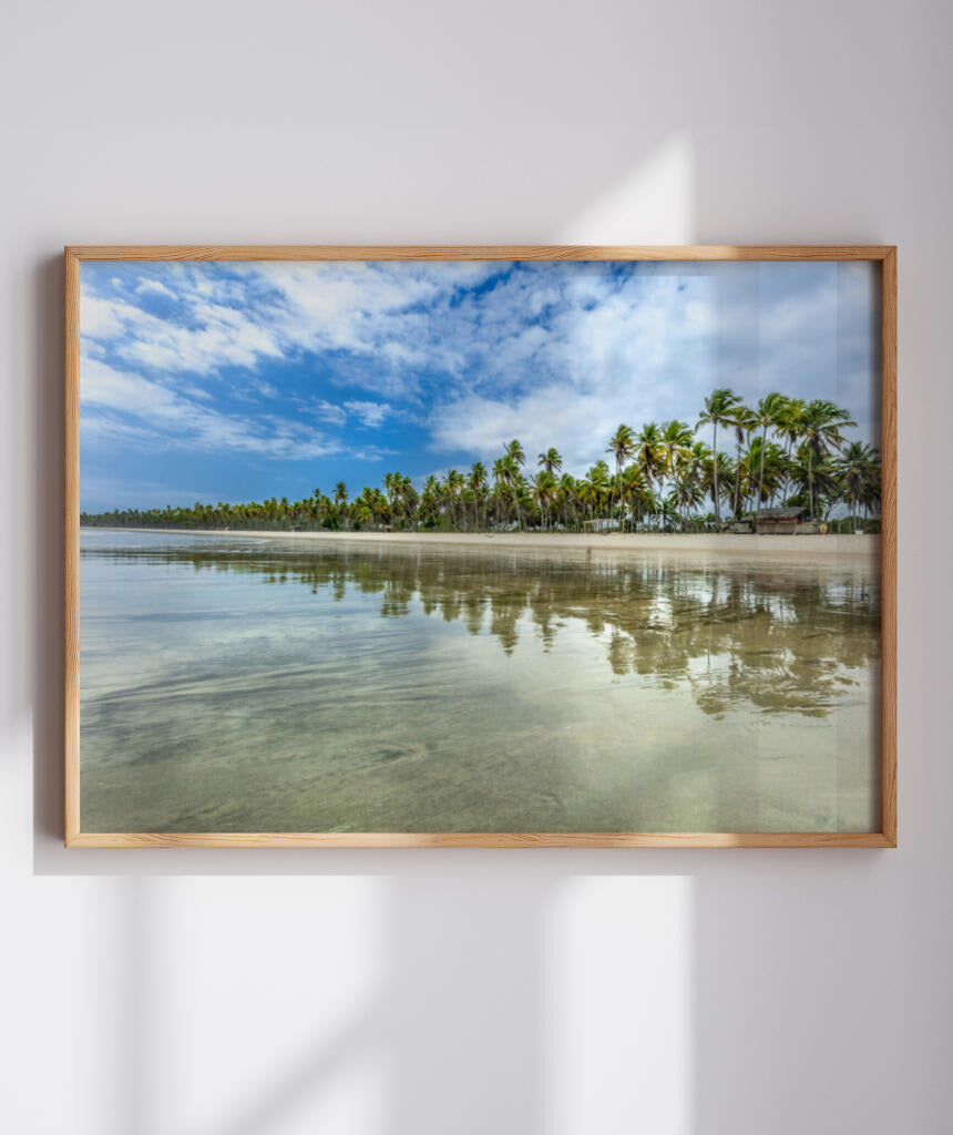 Quadro Decorativo Coqueiral na Beira da Praia