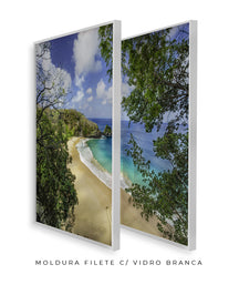 Quadro Decorativo  Praia e mar,galhos verdes - Dupla