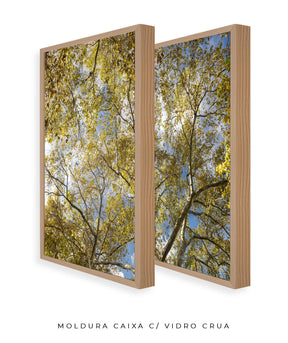Quadro Decorativo Galhos e Árvores - Dupla