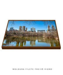 Quadro Decorativo Nova York - Prédios Central Park