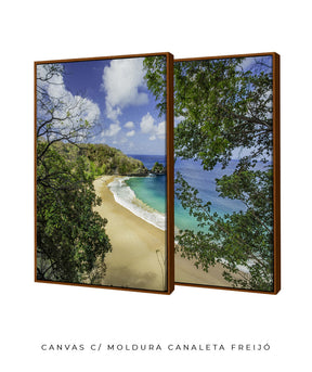 Quadro Decorativo  Praia e mar,galhos verdes - Dupla