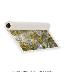 Quadro Decorativo Galhos e Árvores - Horizontal