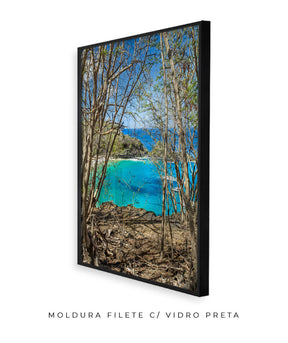 Quadro Decorativo Portais Praia