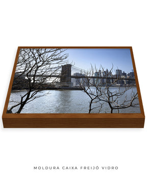 Quadro Decorativo Lago de Nova York - Horizontal